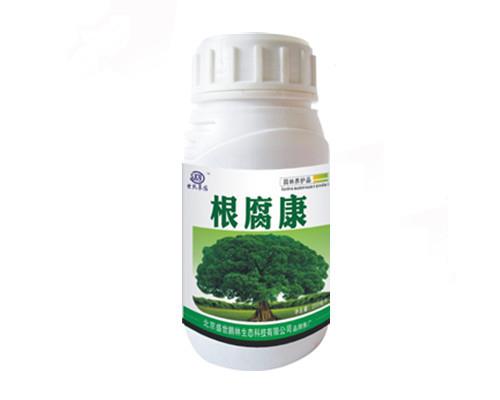 根腐康