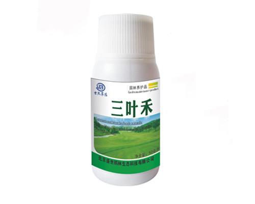 三叶禾