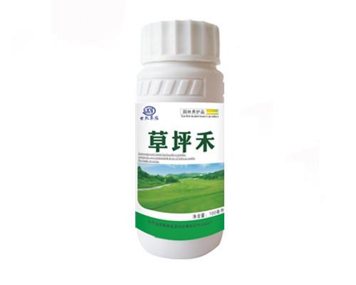 草坪禾