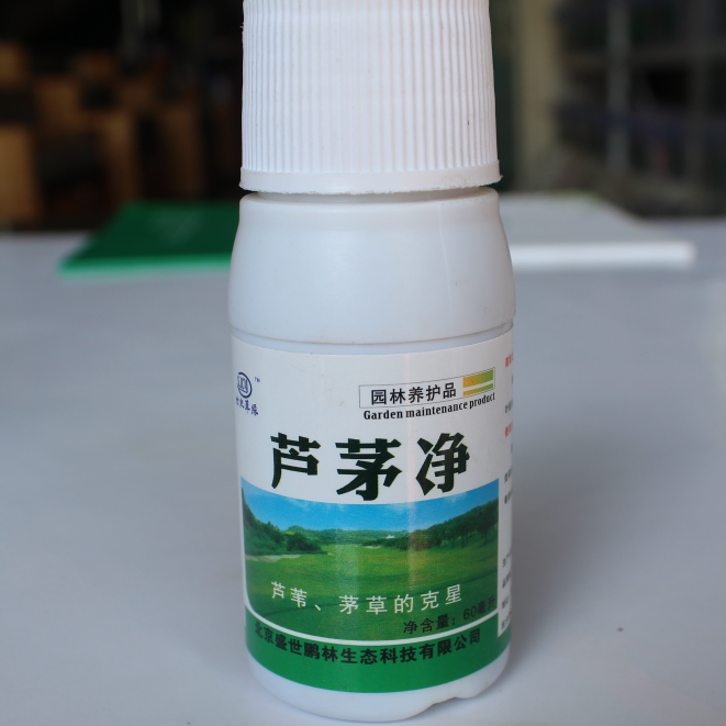 芦茅净