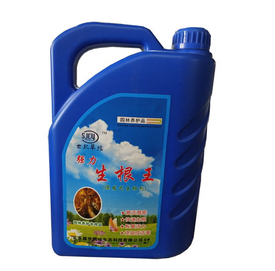 生根王