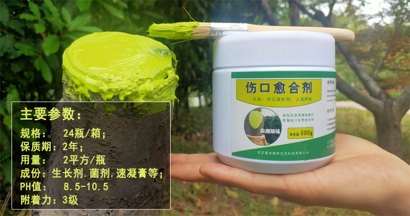 参数1副本800.jpg