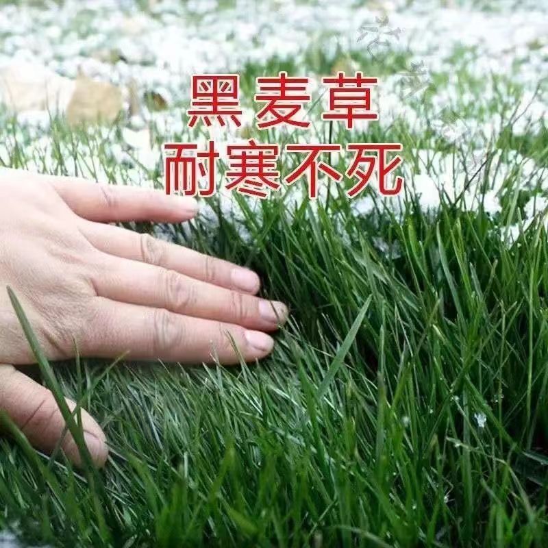 微信图片_20240302090025.jpg
