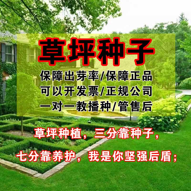 00副本.jpg