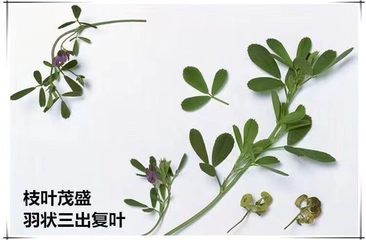微信图片_202304241933571.jpg